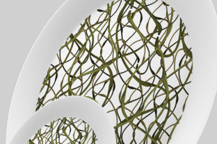 Abstract Pattern Design for Organic Branding