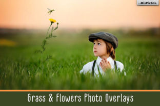 Elevating Digital Design with Authentic Grass and Flowers Photo Overlays
