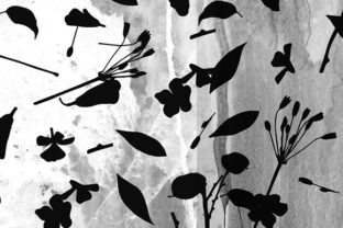 Floral Black and White Pattern Design: Versatile Greyscale Digital Paper for Creative Projects